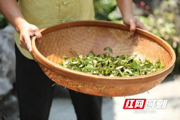 炎陵县康复事业单位最新战略规划揭秘