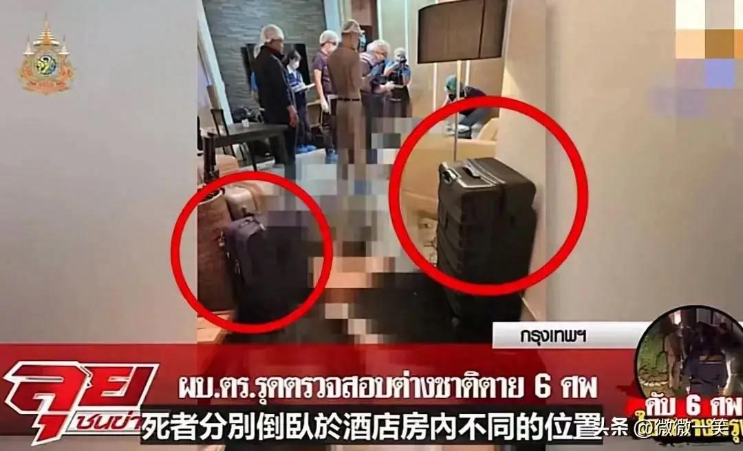 代理 第184页