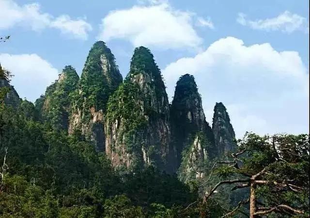 五指山最新房价动态及市场趋势深度解析