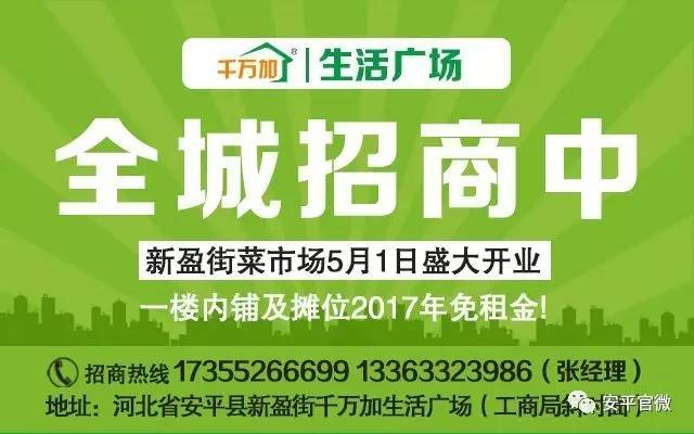 青田县人力资源和社会保障局最新招聘信息概览，最新职位与要求全解析