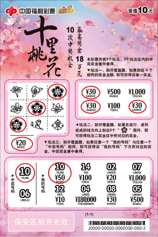 探寻桃花族最新风尚，新潮生活方式大揭秘