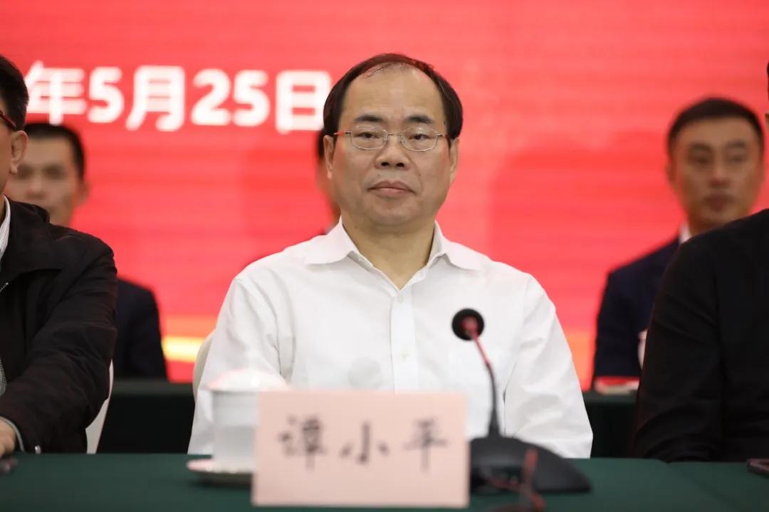 长沙市市经济委员会最新项目概览，最新项目解析与展示