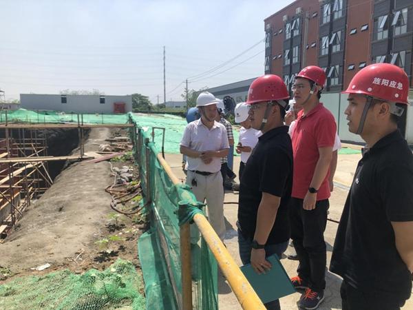 旌阳区农业农村局新项目推动农业现代化，乡村振兴再添新动力