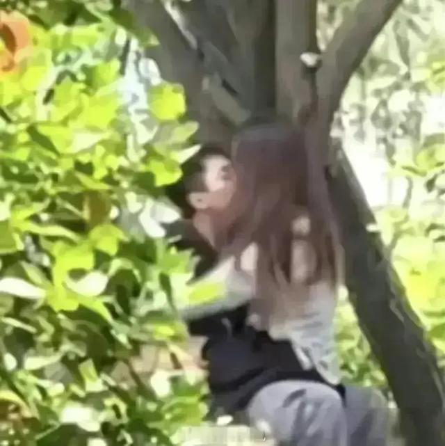 最新情侣打野视频，甜蜜合作与竞技激情的完美结合