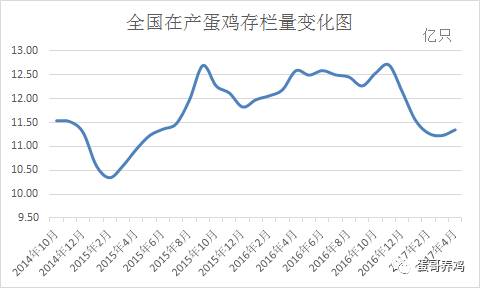 蛋鸡最新存栏量趋势分析及其影响探讨