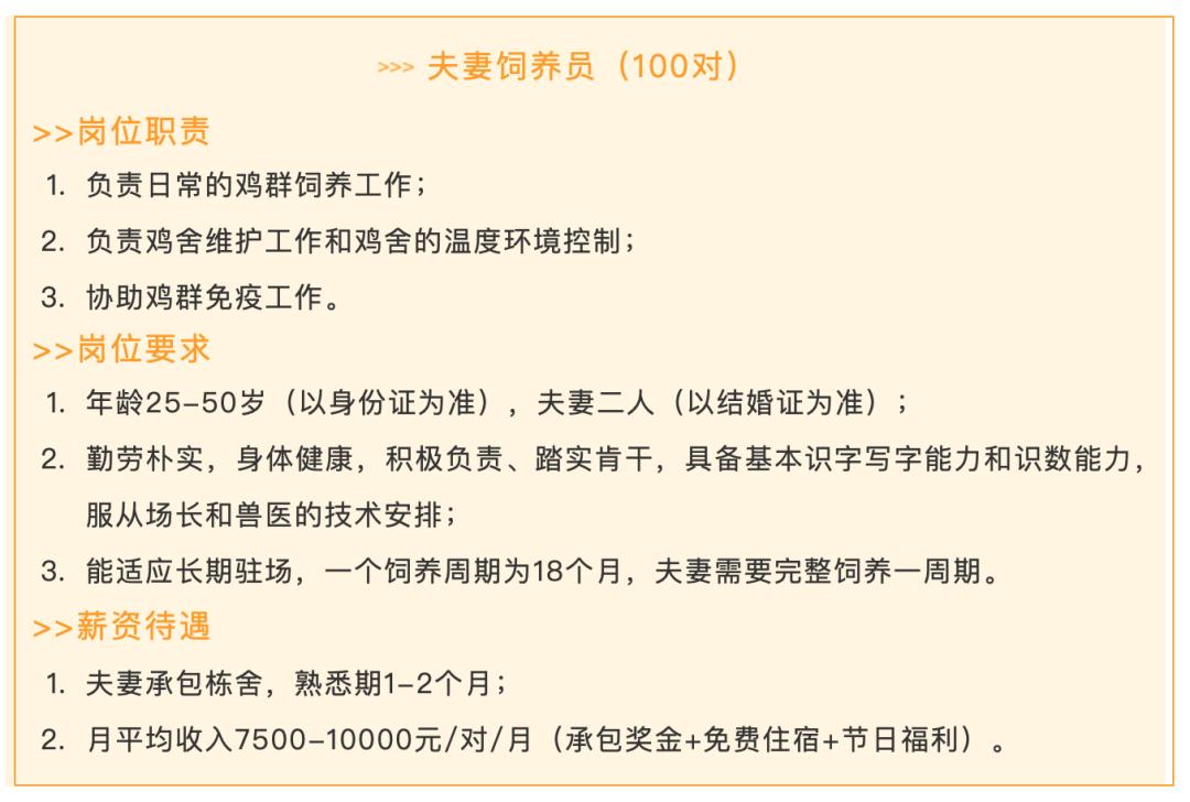 金凤区人民政府办公室最新招聘信息全面解析