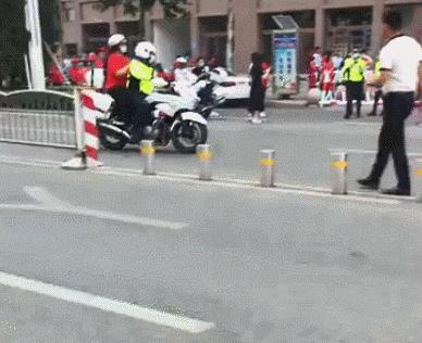 河南高考最新动态，改革与趋势分析揭秘
