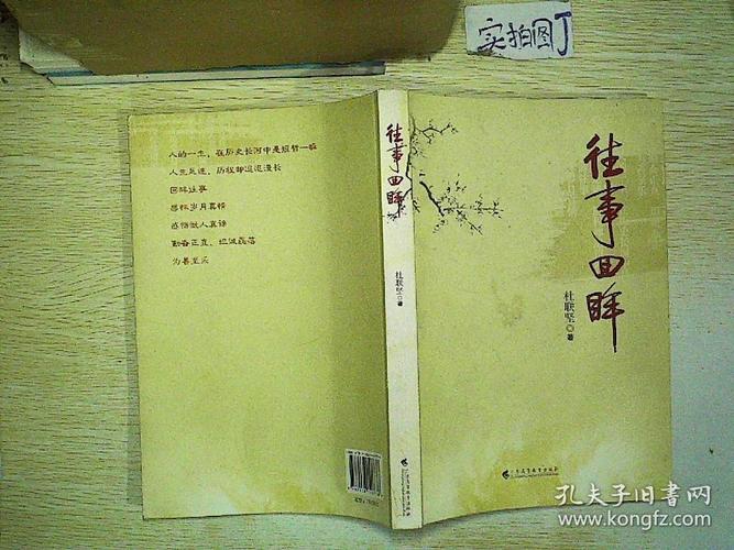 静州往事最新篇章，回忆与遐想的交织