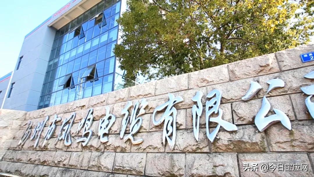 宝应县人力资源和社会保障局最新战略规划揭秘
