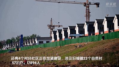 鄄城县小学最新动态报道