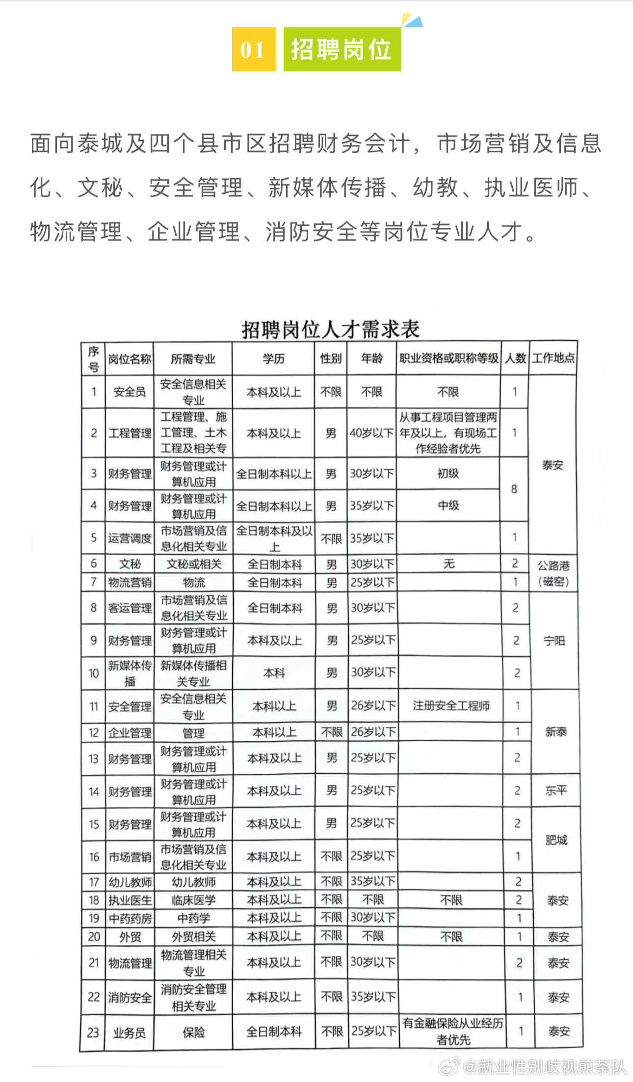 沙河口区人力资源和社会保障局最新招聘信息概览，最新职位与招聘动态