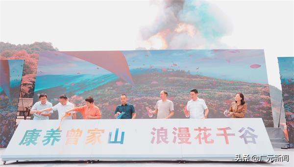 朝天区科技局最新发展规划引领科技创新，助力区域繁荣发展