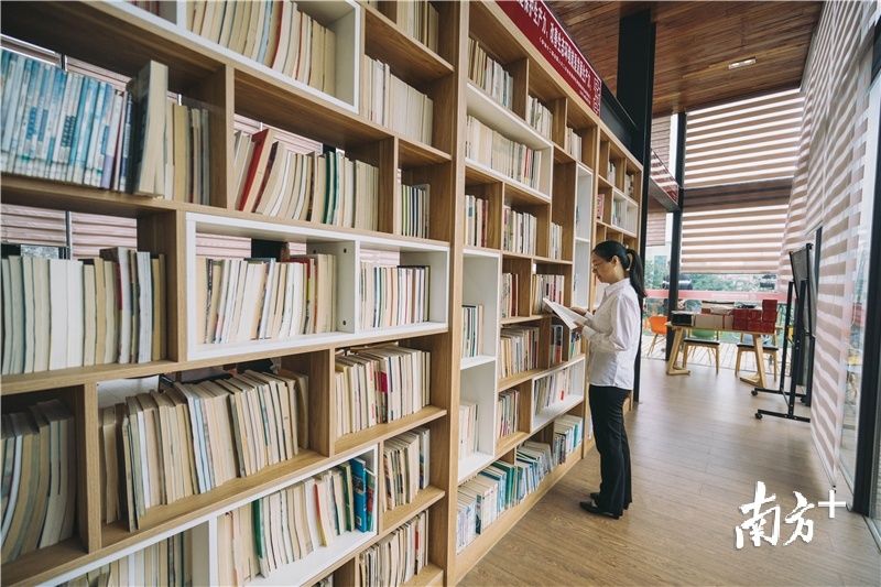 博罗县图书馆最新发展规划构想与实施策略详解