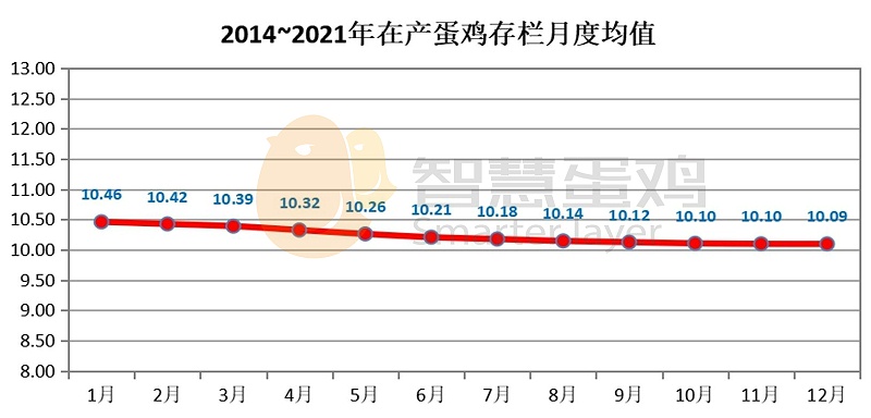 最新蛋鸡存栏量趋势分析及影响探讨