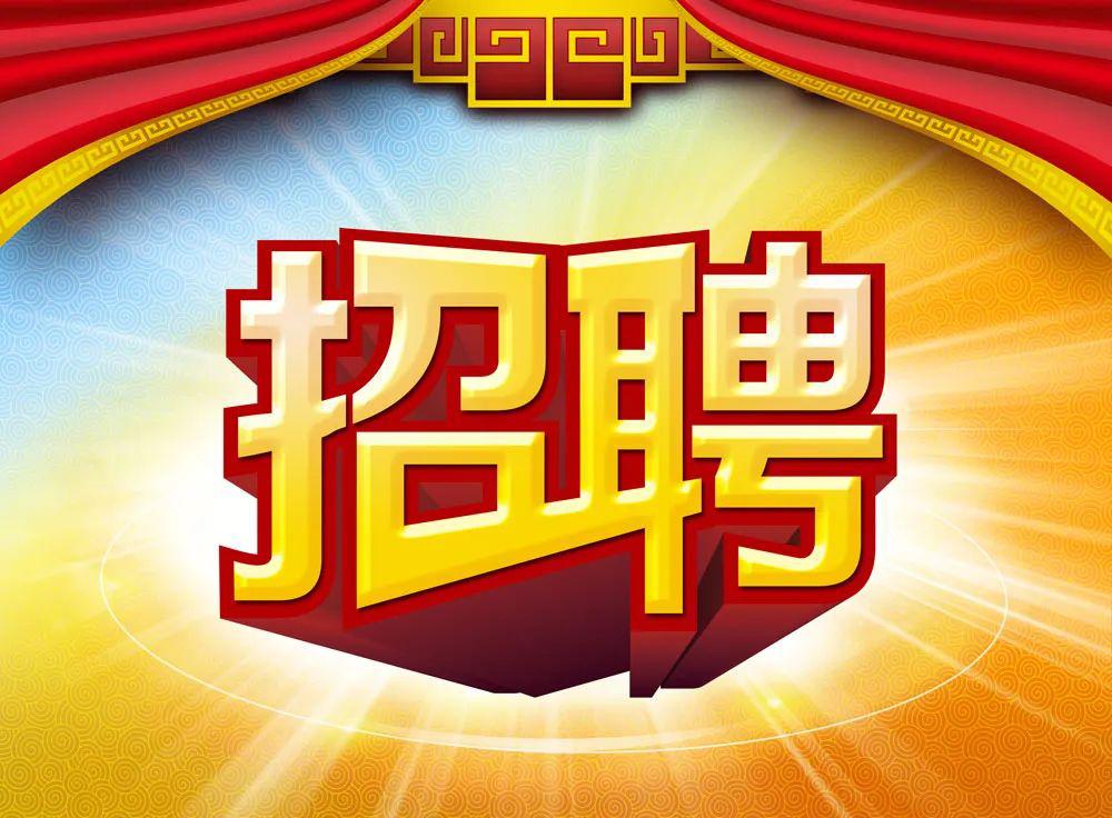 北市区文化局最新招聘信息全解析及职位详情