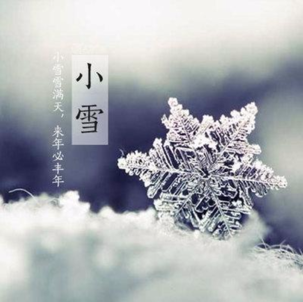 小雪最新照片，时光中的美丽瞬间捕捉