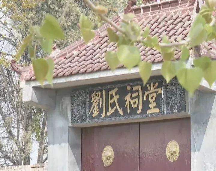 成武县殡葬事业单位最新项目进展及前景展望，最新动态与未来趋势分析
