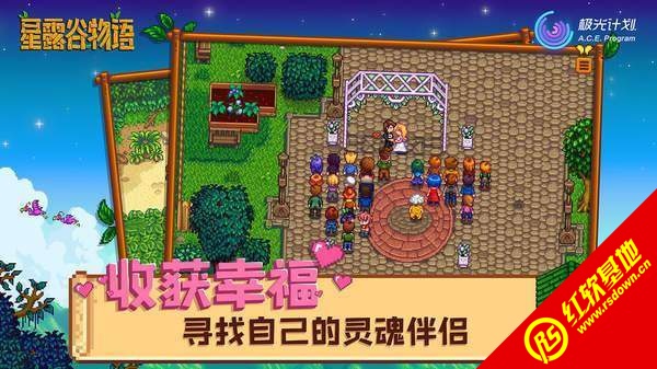 星露谷物语最新版本全面解析与特色展示
