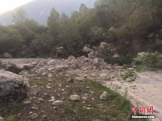 九寨沟地震最新伤亡情况报告更新，伤亡数据汇总与分析