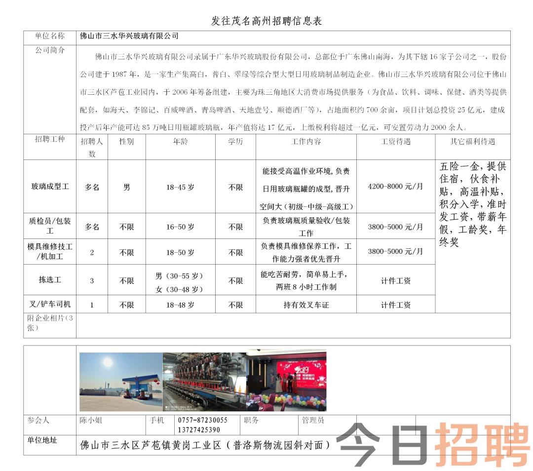 新寮镇最新招聘信息大全，一览无遗的职位概览