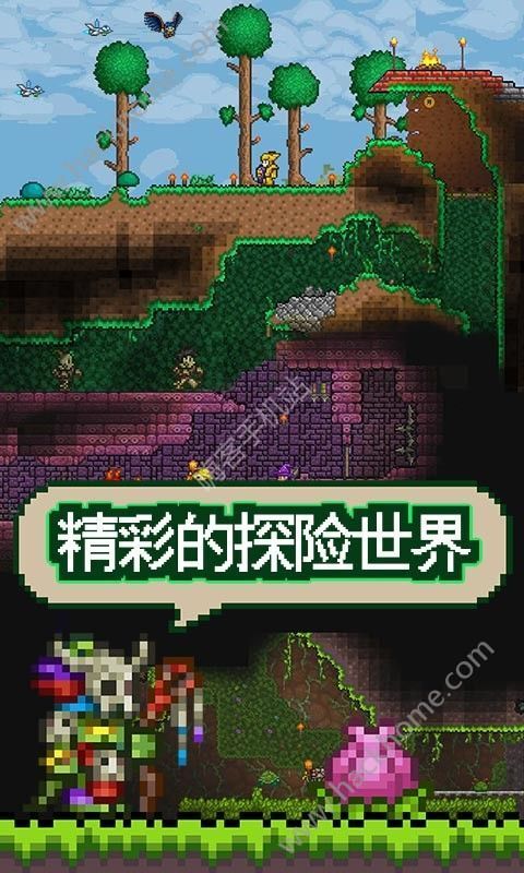 PE泰拉瑞亚最新版探索，游戏新篇章开启！
