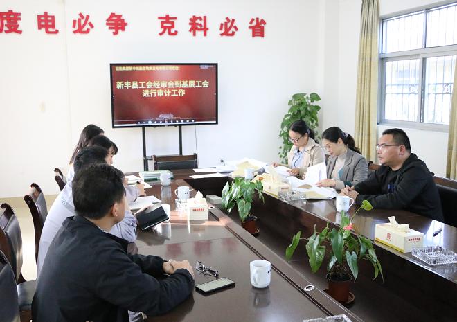 新丰县审计局深化财政监管，推动县域经济高质量发展最新项目启动