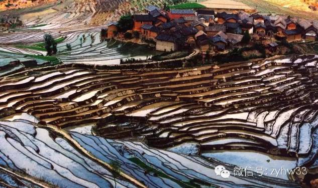 镇沅彝族哈尼族拉祜族自治县康复事业单位最新招聘信息揭秘与解读
