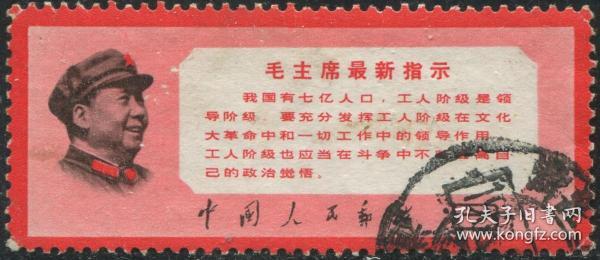 毛主席最新指示，引领新时代的明灯，照亮未来之路