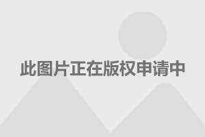 供应链管理